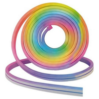 Neon Flex LED